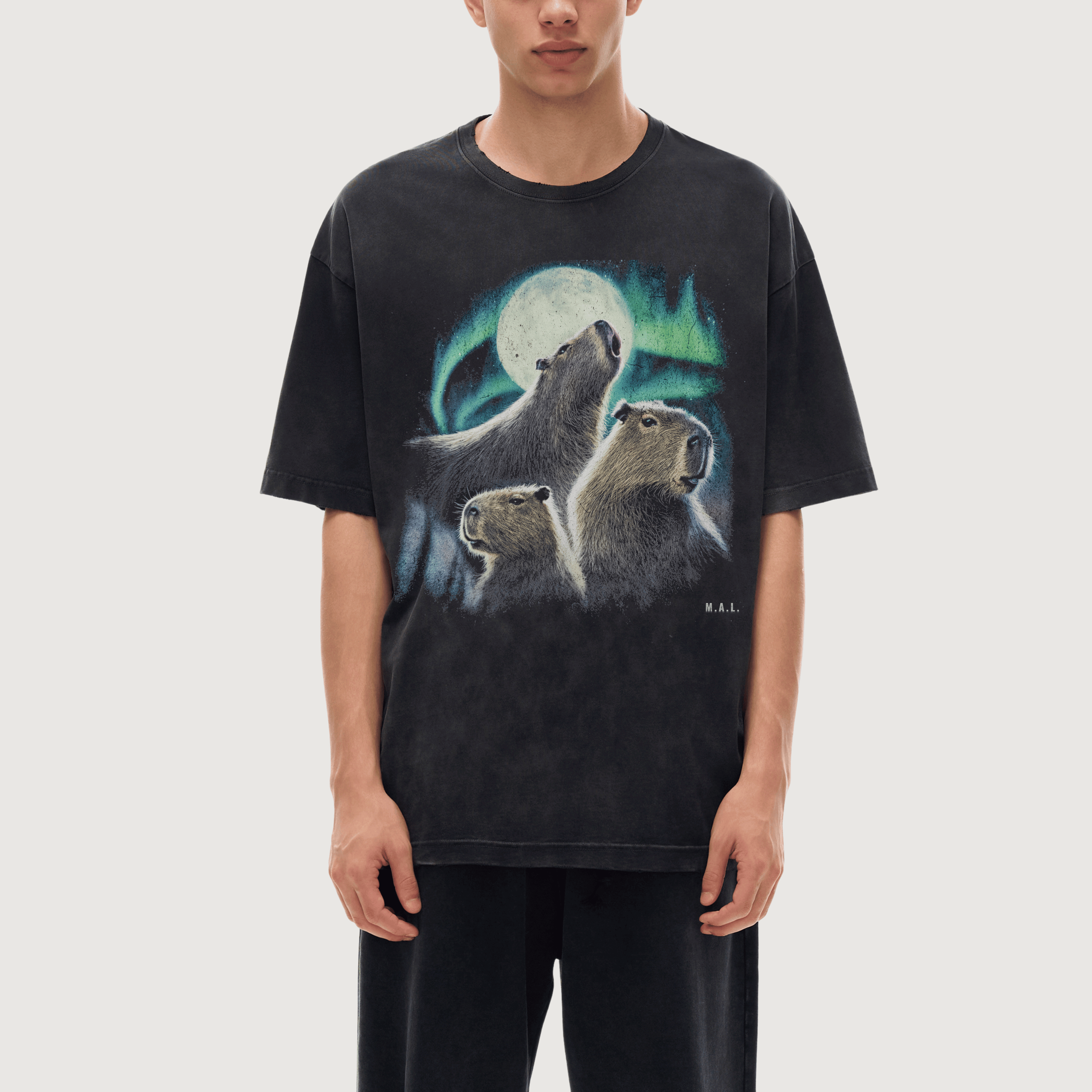 Stillness of the Night Capybara T-Shirt
