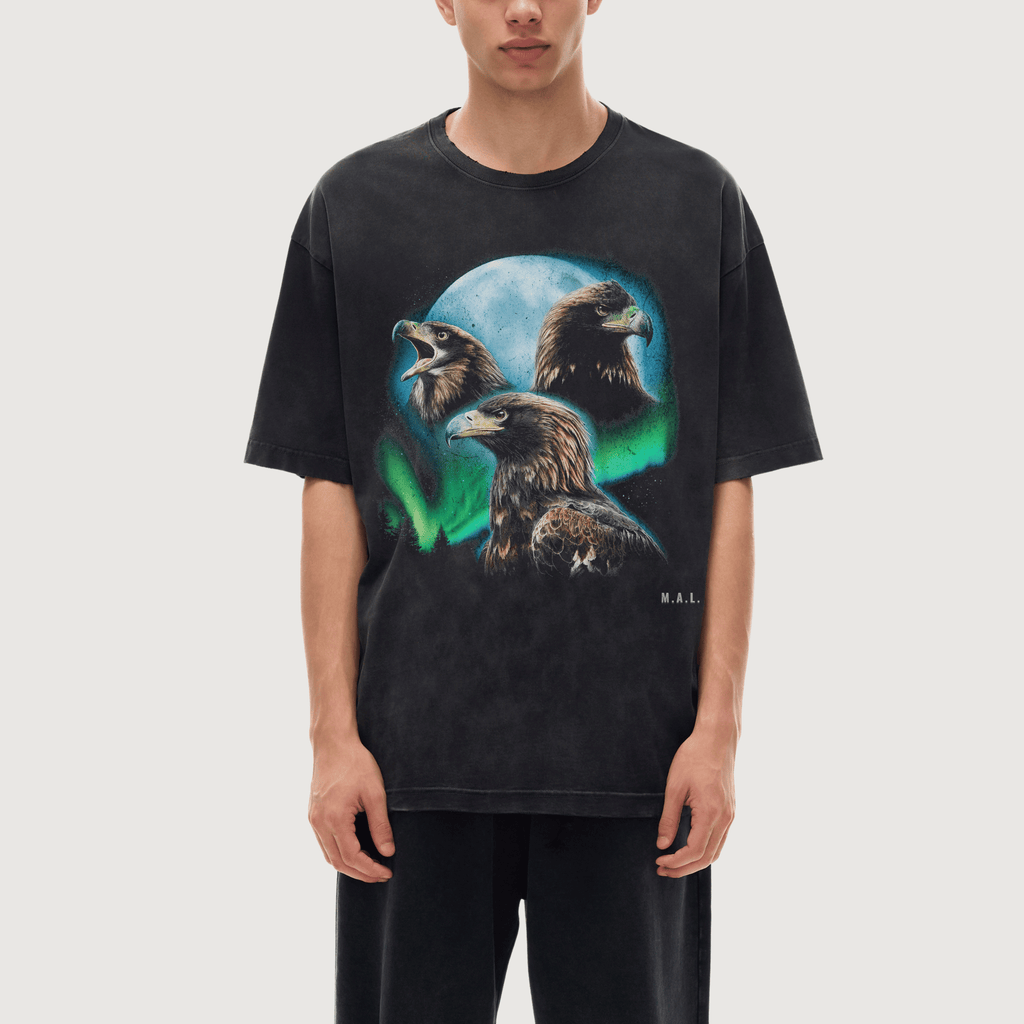 Eyes Above Eagle T-Shirt