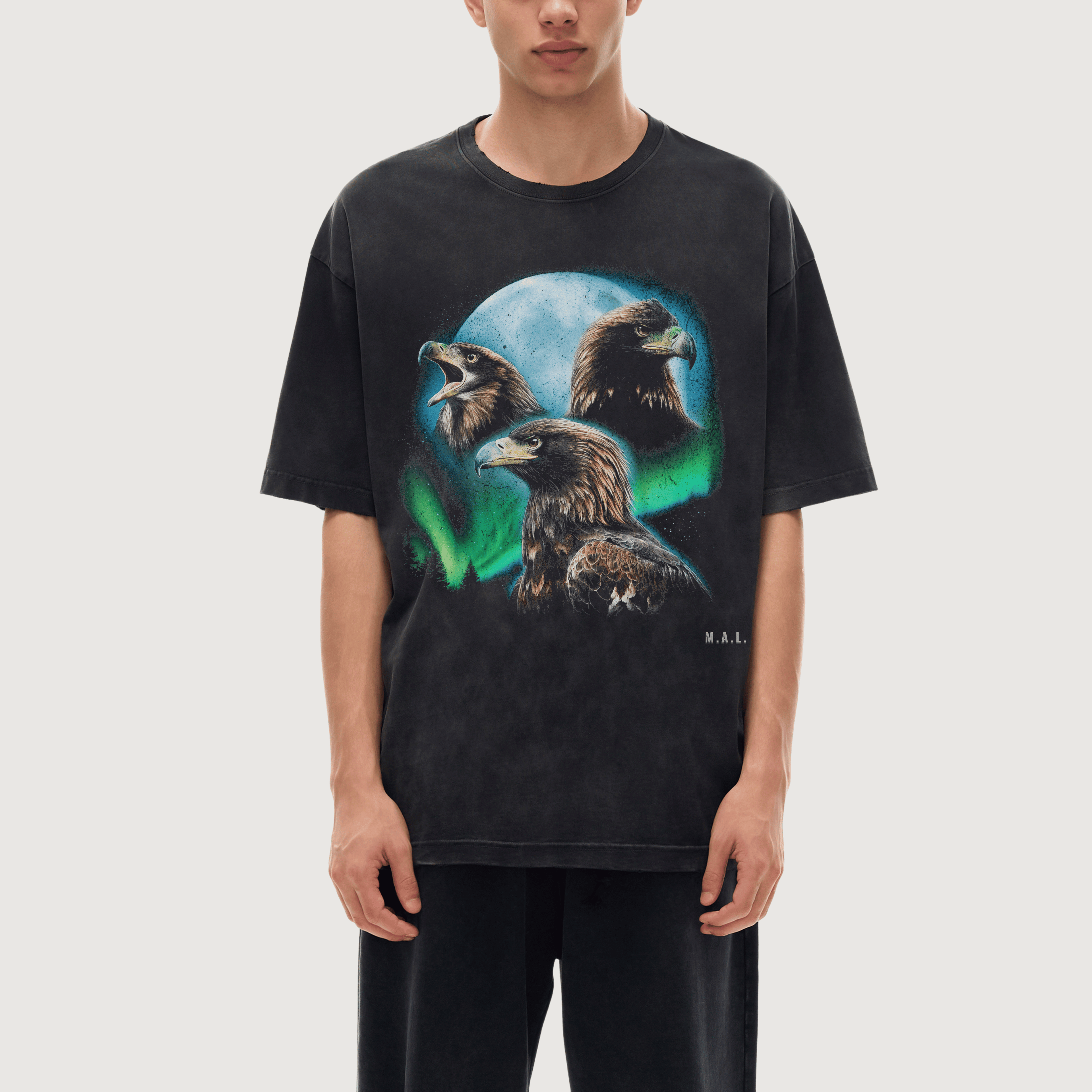 Eyes Above Eagle T-Shirt