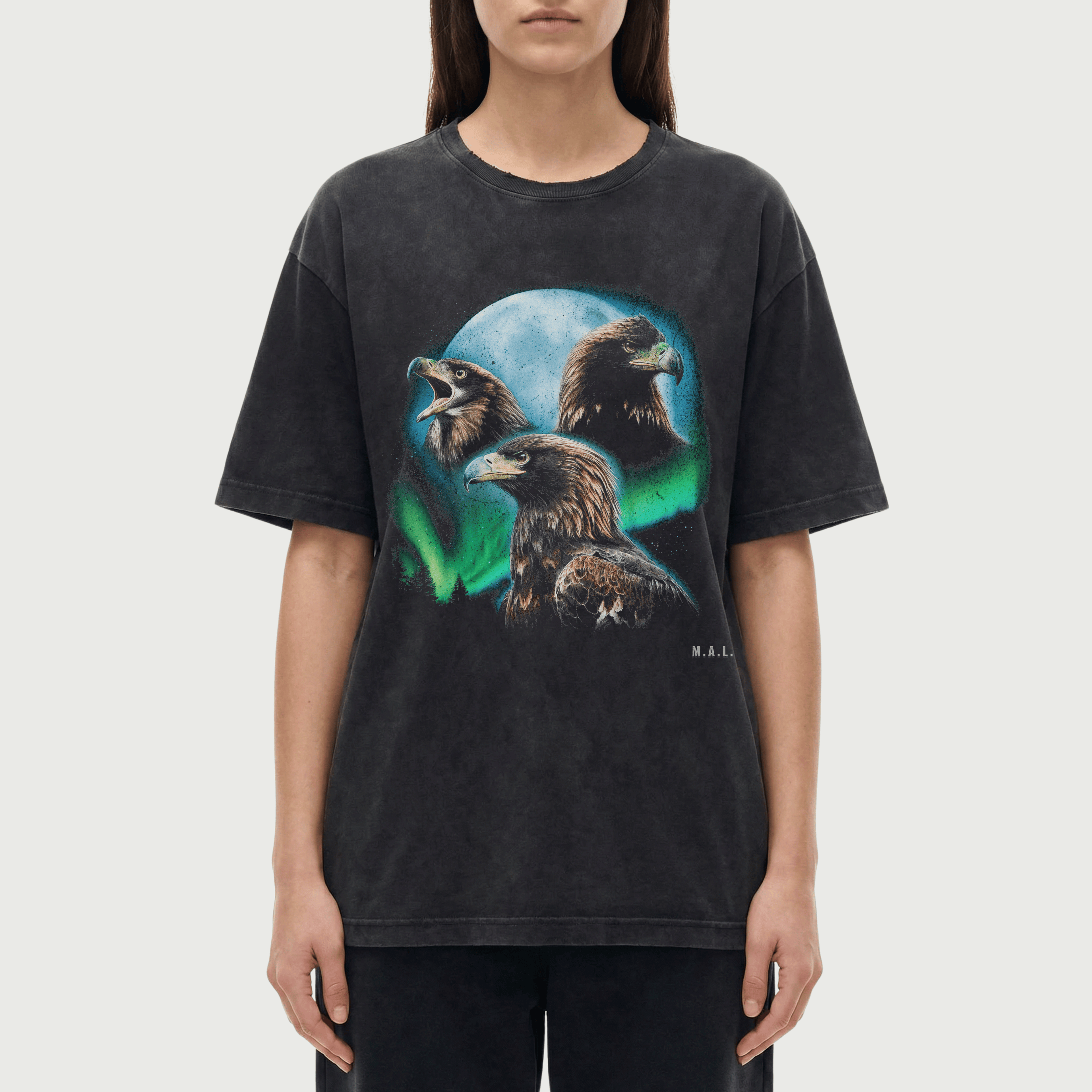 Eyes Above Eagle T-Shirt